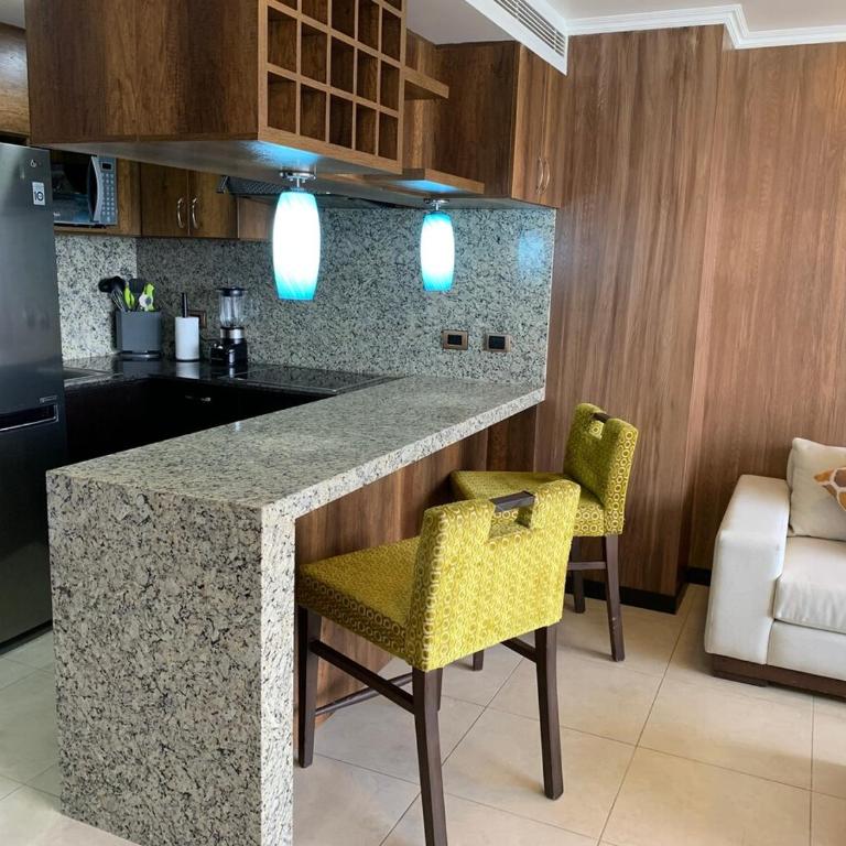 Condo, Amazing River View and Free Parking - One-Bedroom Apartment - 4