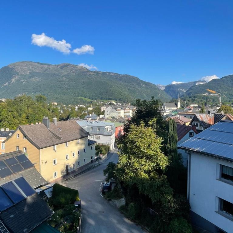 am Kalvarienberg Villenapartment & Hostel Bad Ischl - Apartment mit 2 Schlafzimmern - 10