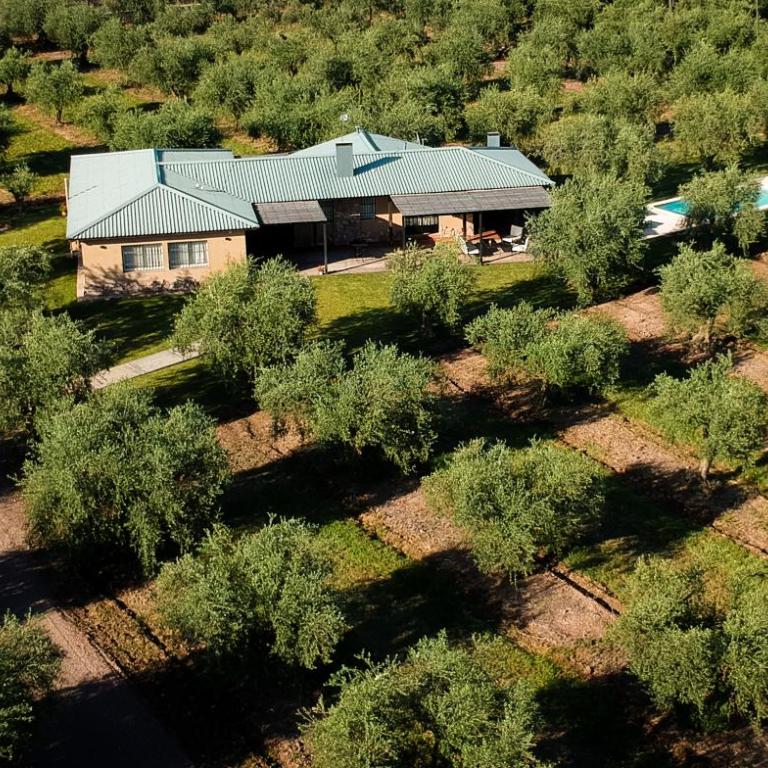 Finca Verde Oliva Wine & Olive Estate - Villa - 1