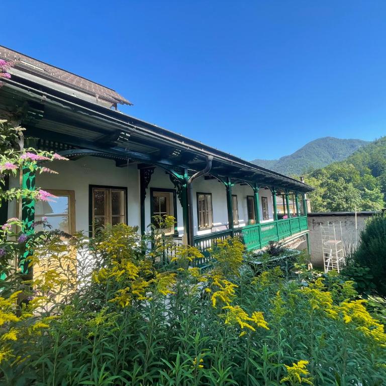 am Kalvarienberg Villenapartment & Hostel Bad Ischl - Apartment mit 1 Schlafzimmer - 1