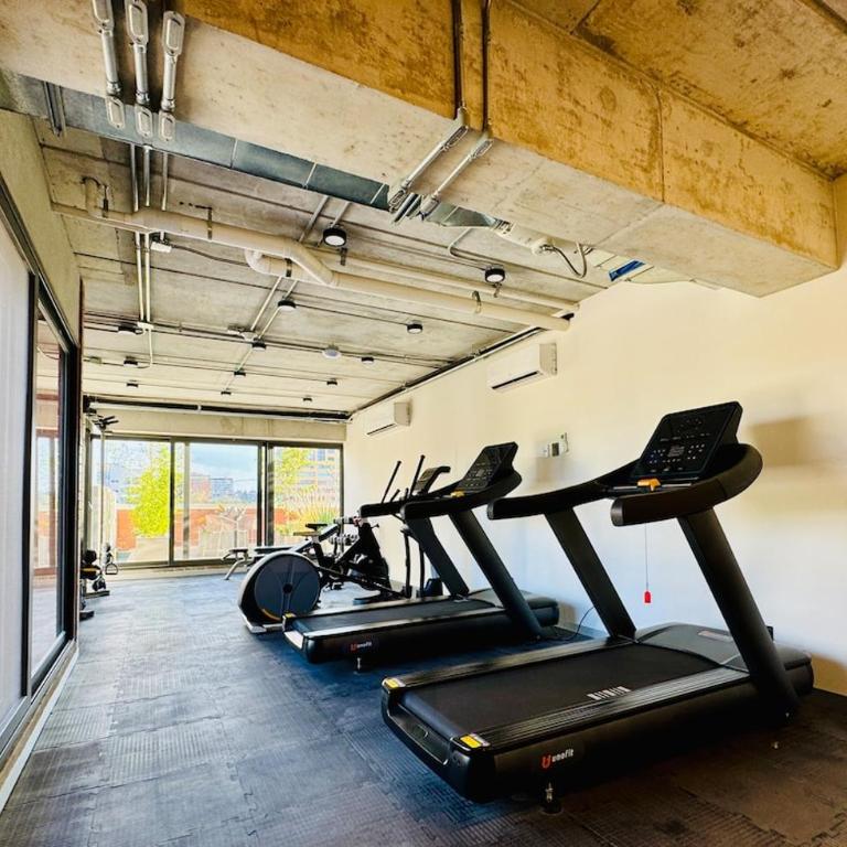 New Loft in Colonia Americana in the heart of Chapultepec - One-Bedroom Apartment - 26