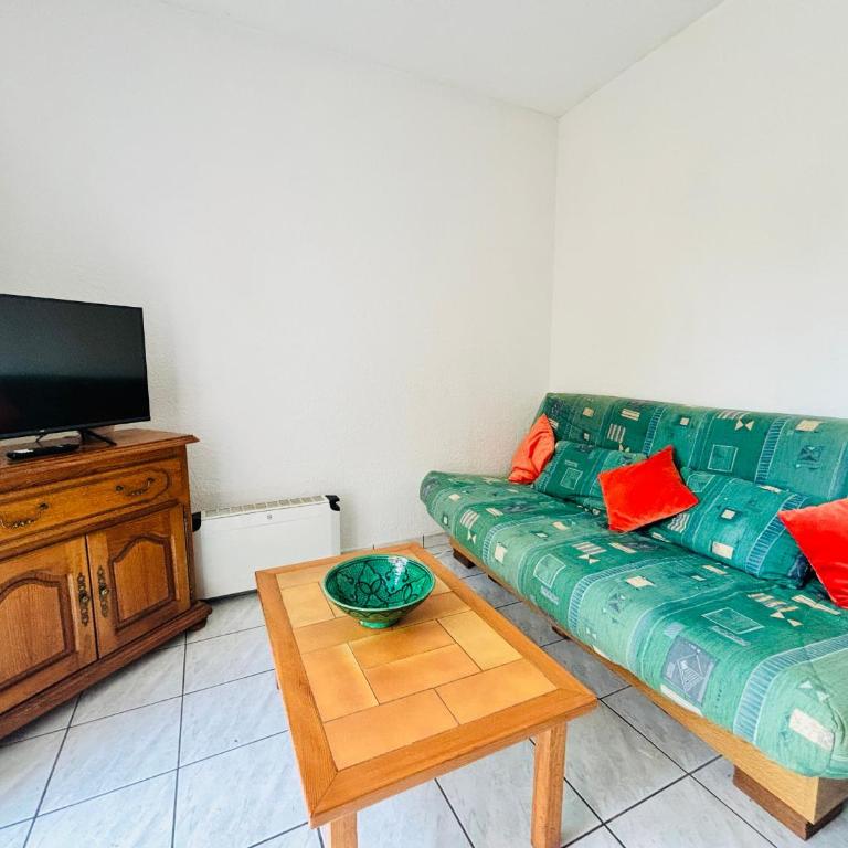 Argelès T2 plage, parc, parking, 4 pers - FR-1-309-489 - Apartment - 12