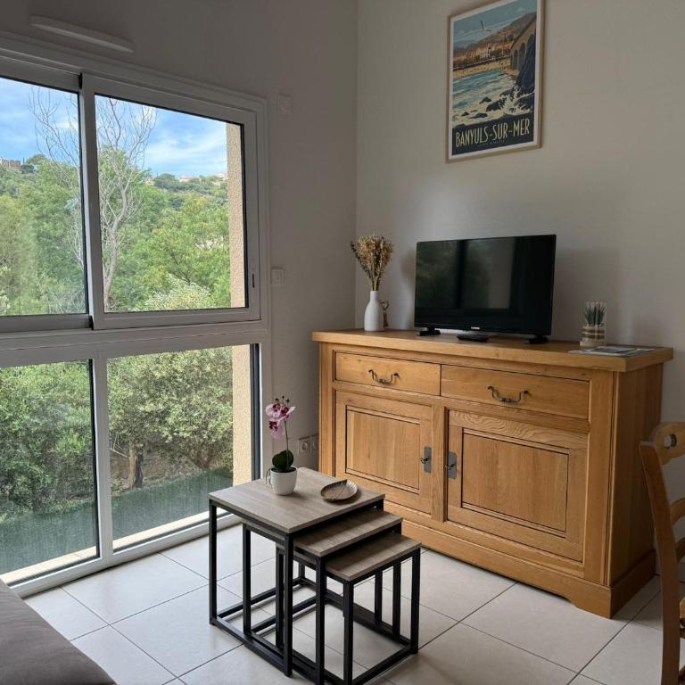 Banyuls-sur-Mer: Appartement pour 6 avec terrasse et parking - FR-1-309-516 - Apartment mit 2 Schlafzimmern - 22