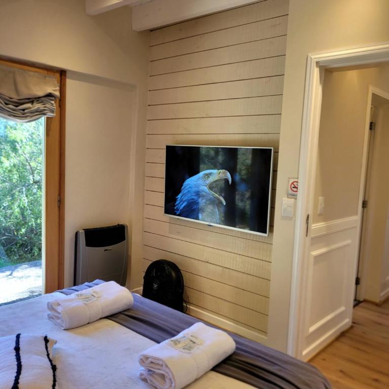 Ailen De Los Andes Deluxe 1 - Chalet - 12