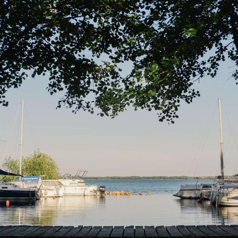 Duplex cosy 4 pers à 200m du lac avec jardin privatif - FR-1-877-41 - Vacation Home - 14