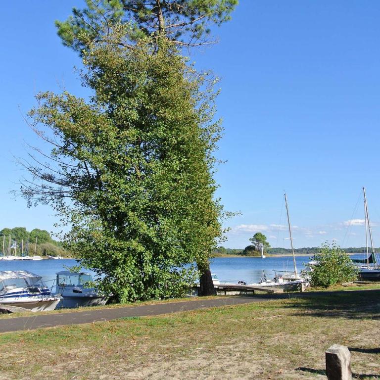 Joli T3 à Biscarrosse avec terrasse, jardin privatif, parking et wifi - proche lac et forêt - FR-1-877-44 - Appartement - 19