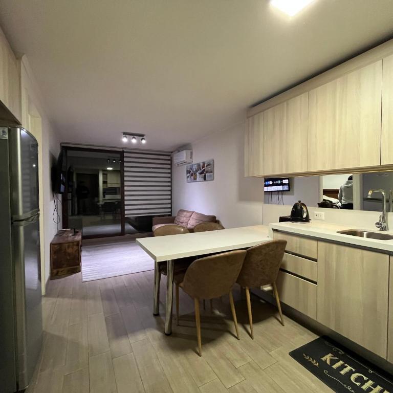 Lagos centro Temuco - One-Bedroom Apartment - 6