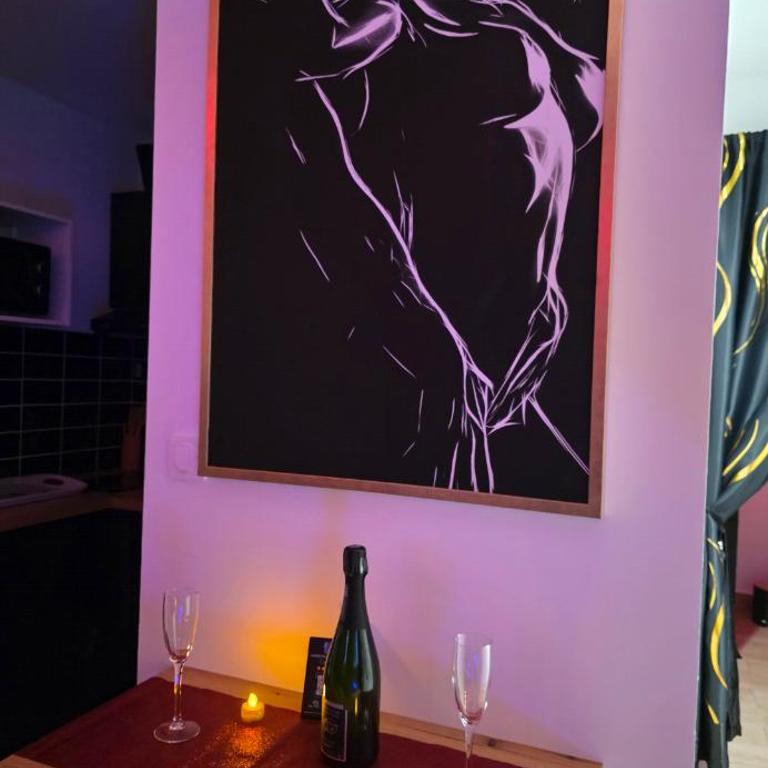 Luxury Love Room with Private Spa & Sauna Havre de Plaisir - Apartment mit 1 Schlafzimmer - 21