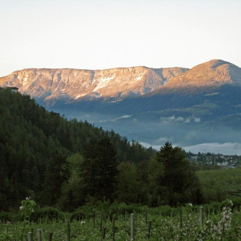 Pension Thalerhof - Camera Matrimoniale con Vista Montagna - 1