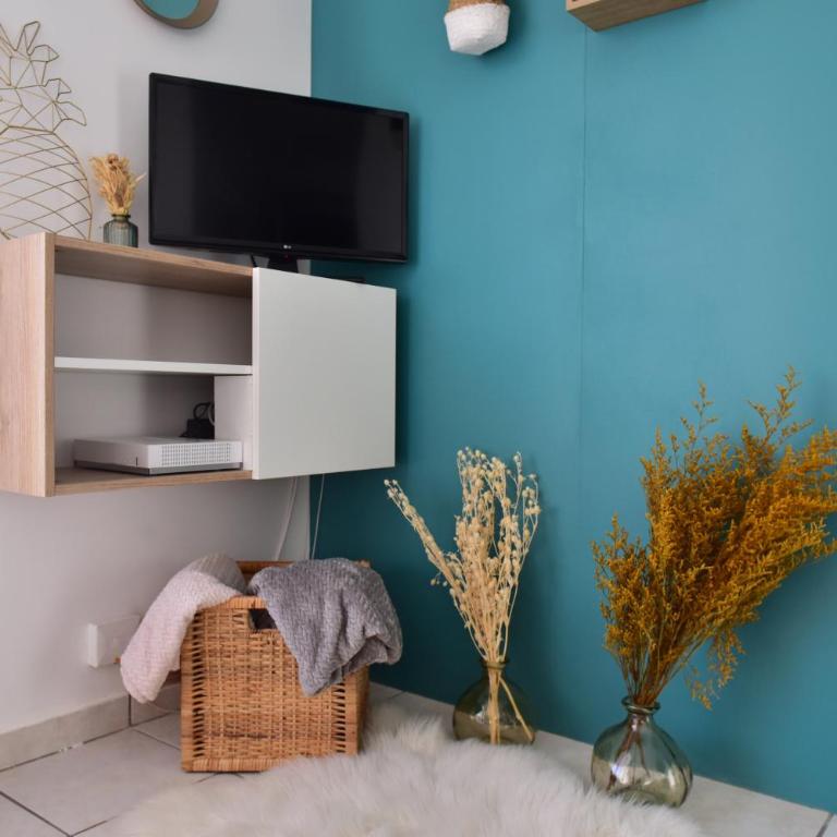 Le central - Apartamento con terraza - 12
