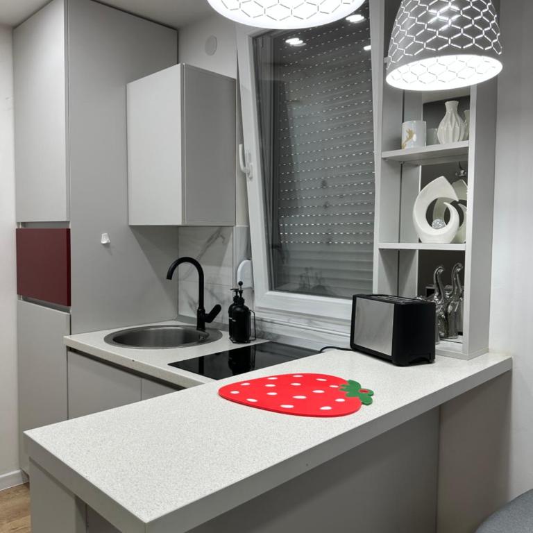 Down Town Studio - One-Bedroom Apartment - 10