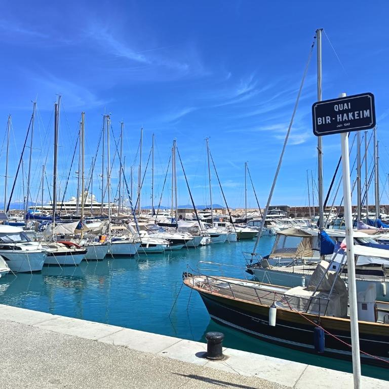 Havre de verdure Antibes Val Claret - Appartement 1 Chambre avec Jardin - 29
