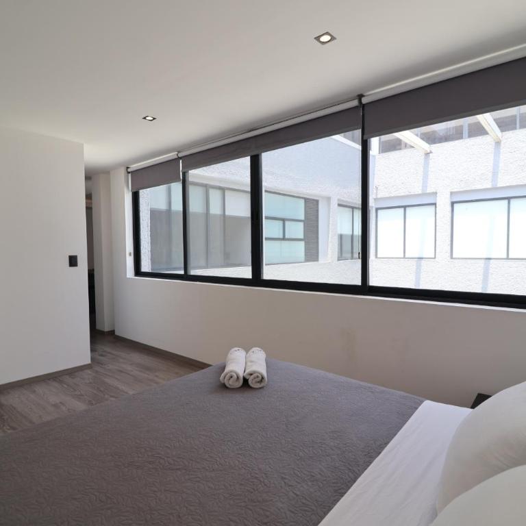 SanRafa Mx - Suite Deluxe con cama extragrande - 2
