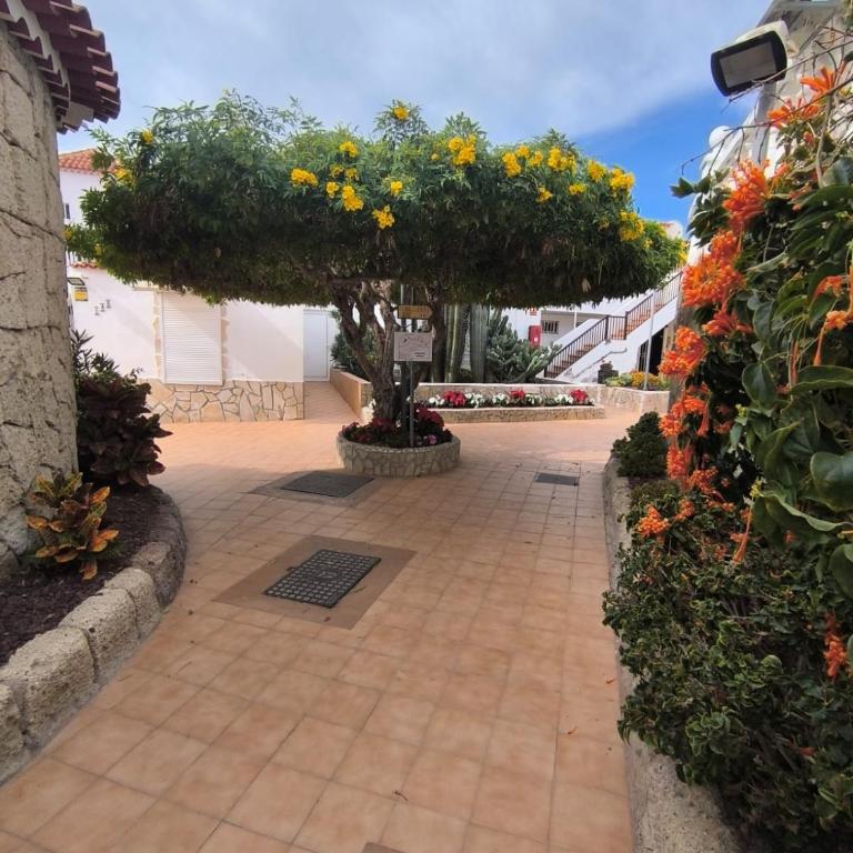 Paraíso Royal Apartment las Americas - Apartamento de 2 dormitorios con terraza - 23