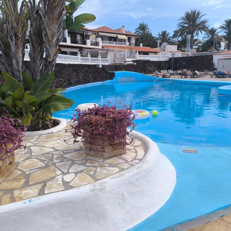 Paraíso Royal Apartment las Americas - Apartamento de 2 dormitorios con terraza - 26