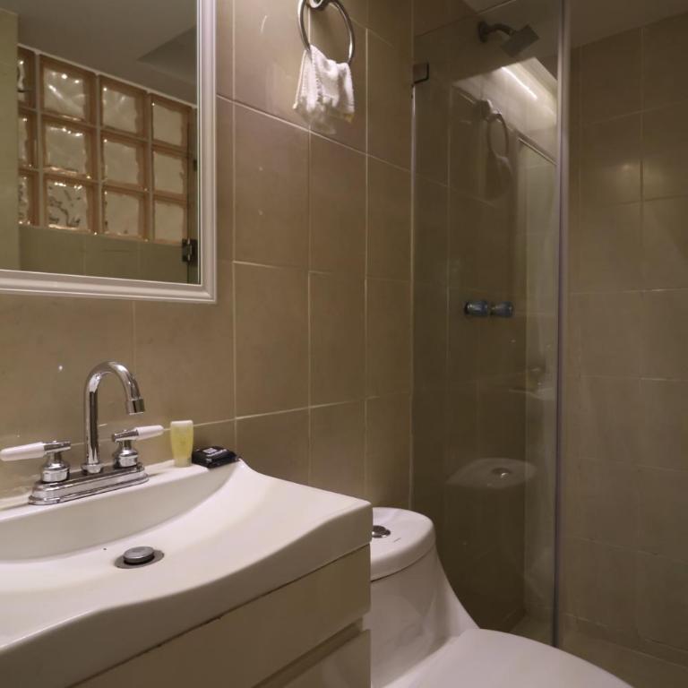 SanRafa Polanco I - Apartamento Estándar - 13