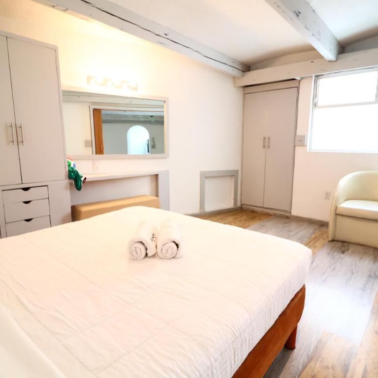 SanRafa Polanco I - Apartamento Estudio - 16