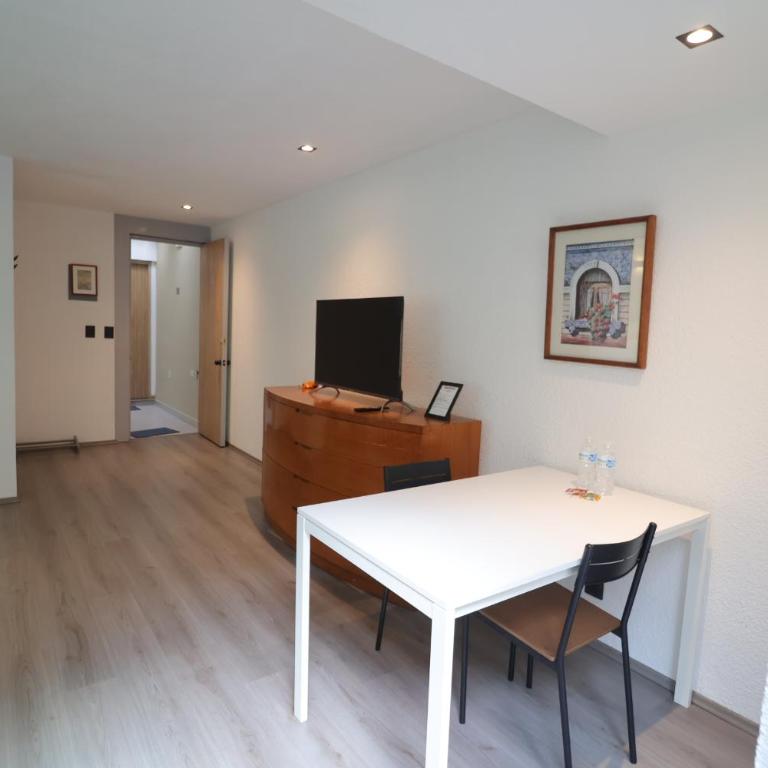 SanRafa Polanco I - Appartement avec Terrasse - 14