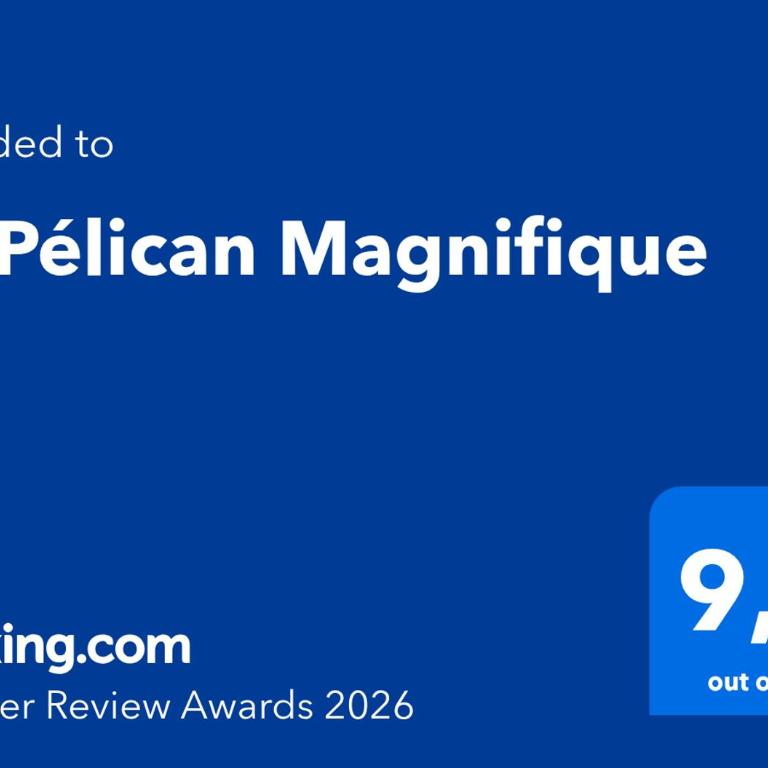 Le Pélican T2 Magnifique - Appartement 1 Chambre - 10