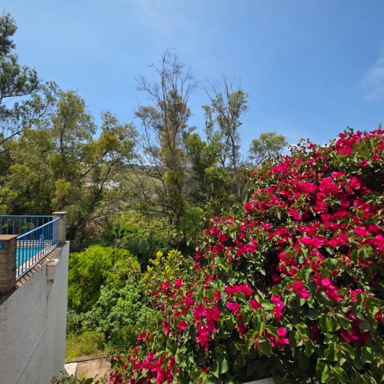 Finca La Cueva - Three-Bedroom House - 40