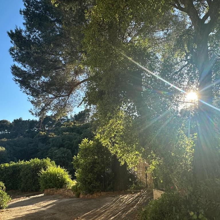 Dolce Farniente à 300m de la mer - Apartamento de 1 dormitorio - 22