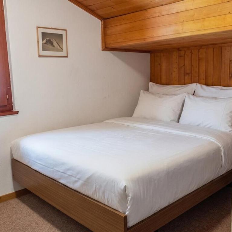 Chalet authentique à Ovronnaz - Chalet mit 1 Schlafzimmer - 24