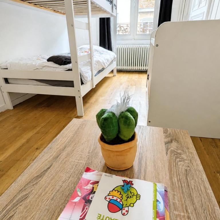 Deux appartements privés de caractère au cœur de Troyes - Premium Apartment mit 5 Schlafzimmern - 31