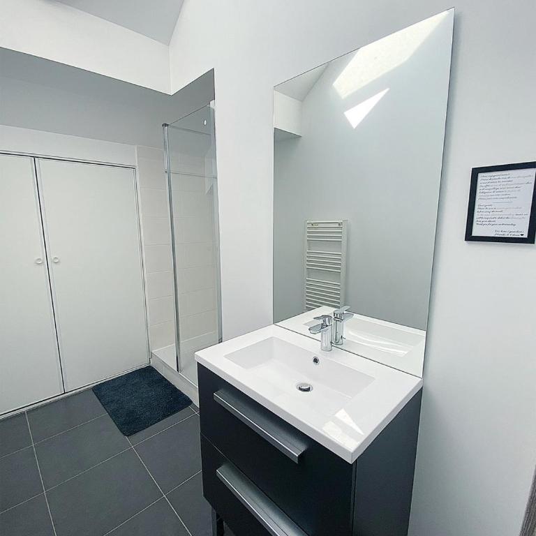 Le Moisson, centre ville, Wifi, Netflix - Apartamento - 7