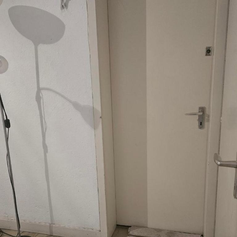Studio Colmar breakfast shared bathroom - Appartement 1 Chambre - 35
