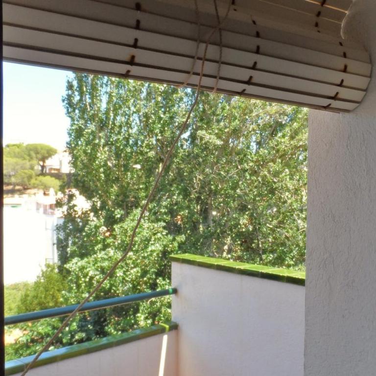 Cadaqués,cozy,very center,terracy - Apartamento de 1 dormitorio con vistas al jardín - 6