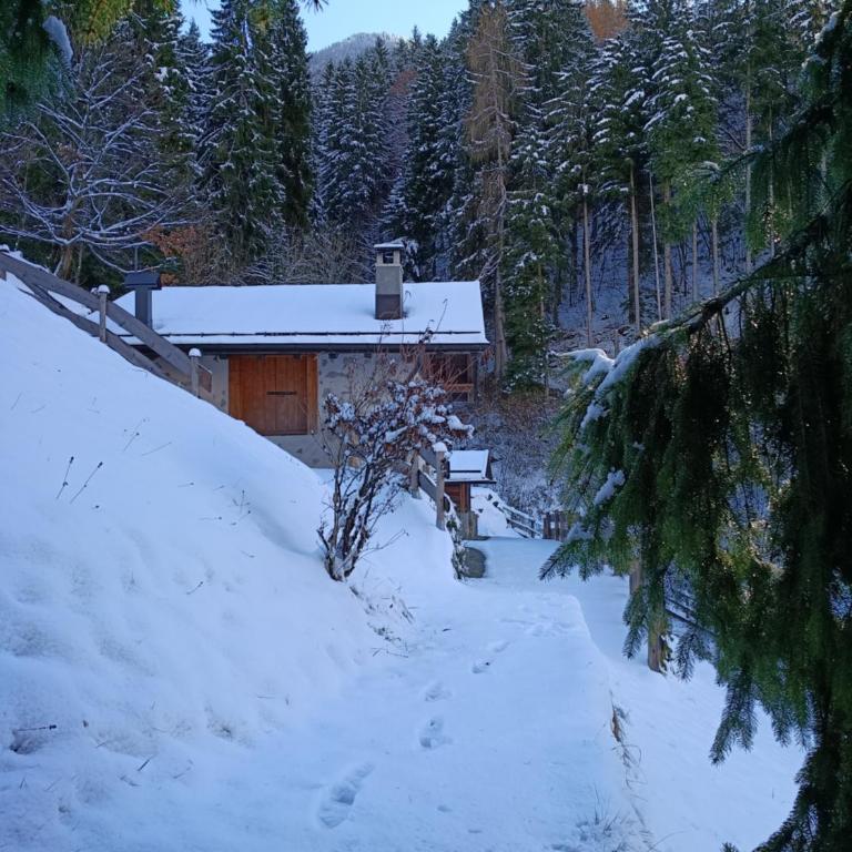 Chalet Maso Salam - Chalet mit 1 Schlafzimmer - 17