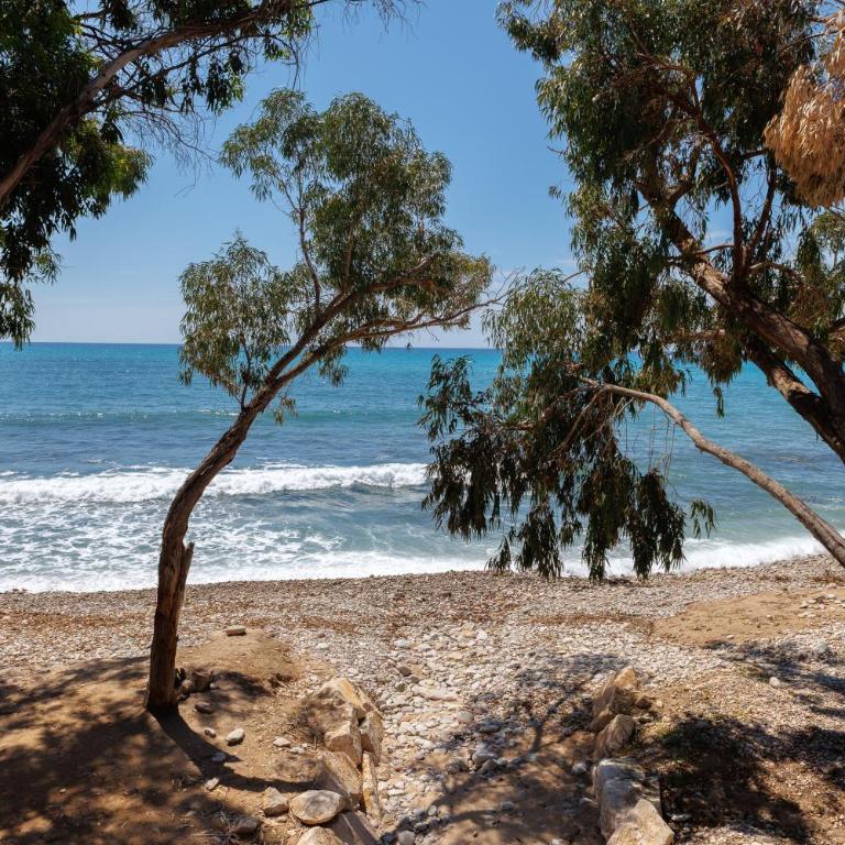 Espanatour VILLAJOYOSA - Two-Bedroom Apartment with Sea View - 37