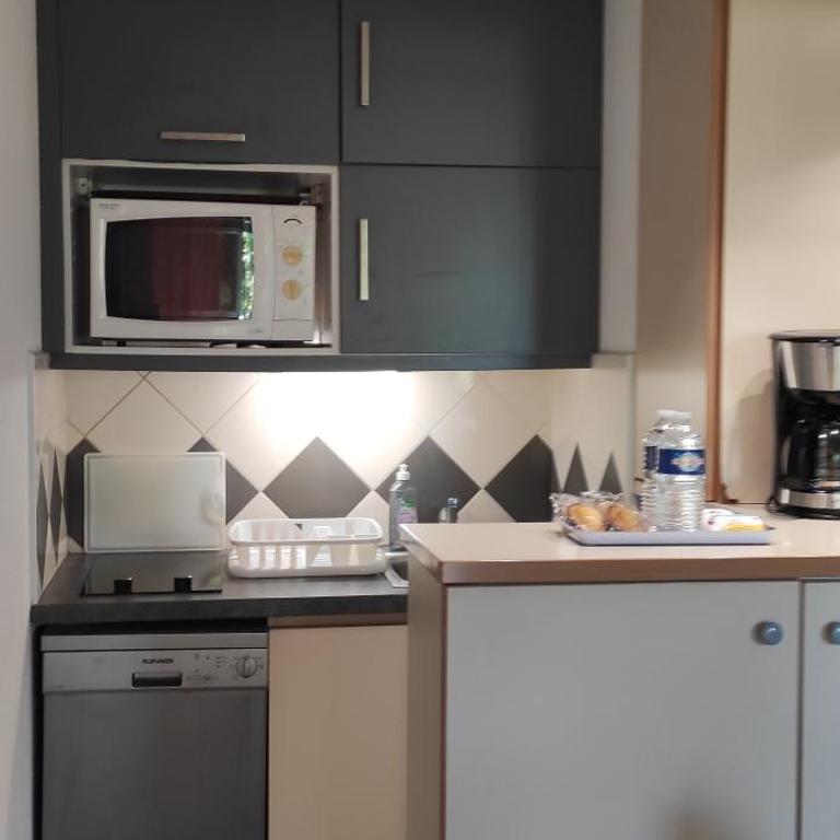 Appartement Les Palmiers - Appartement 1 Chambre - 6