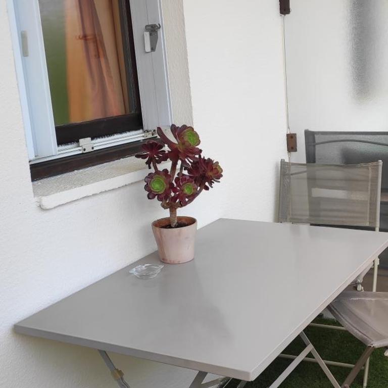 Appartement Les Palmiers - Appartement 1 Chambre - 11