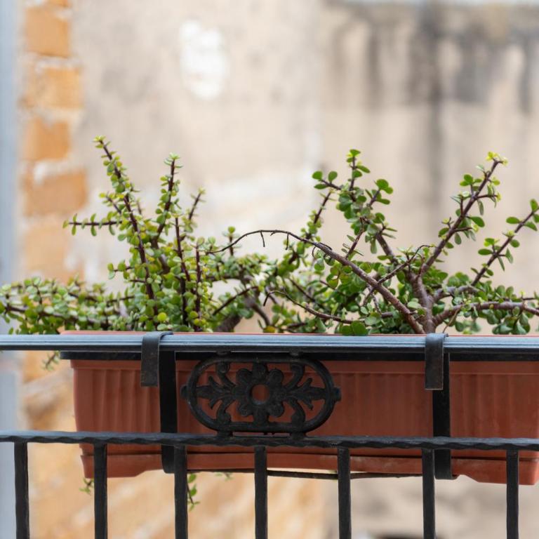 Bed and Breakfast San Domenico - Camera Quadrupla con Doccia - 6