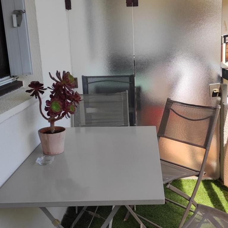 Appartement Les Palmiers - Appartement 1 Chambre - 10
