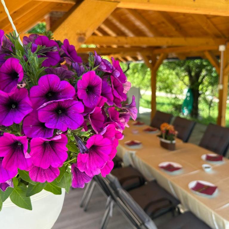 Apartments Daisy - Apartman sa 1 Spavaćom Sobom - 19