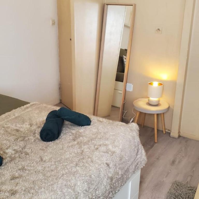 Le Cocon Volcanique - Studio in central Clermont - Appartement 1 Chambre - 5