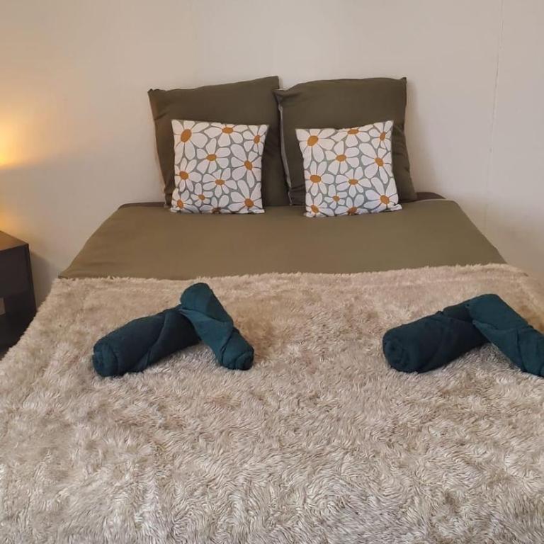 Le Cocon Volcanique - Studio in central Clermont - Appartement 1 Chambre - 8