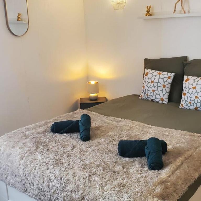 Le Cocon Volcanique - Studio in central Clermont - Appartement 1 Chambre - 1