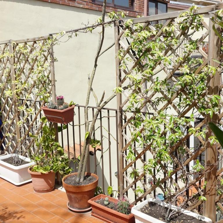La Maison De Catania - Appartamento con 2 Camere da Letto - 32