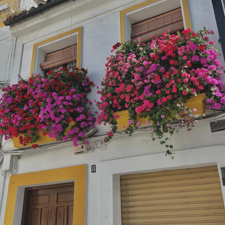 Gran apartamento centro Córdoba con parking gratis - Three-Bedroom Apartment - 53
