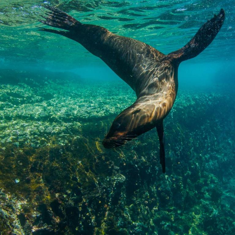 Galapagos Family Vacation 3 bedrooms 7 guests Centrally located and ocean view - Three-Bedroom Townhouse - 58