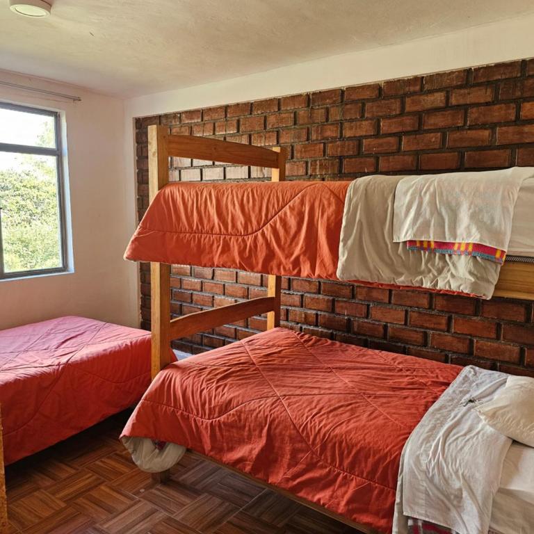 Apu Ecolodge - Apartamento de 2 dormitorios con vistas a la montaña - 8