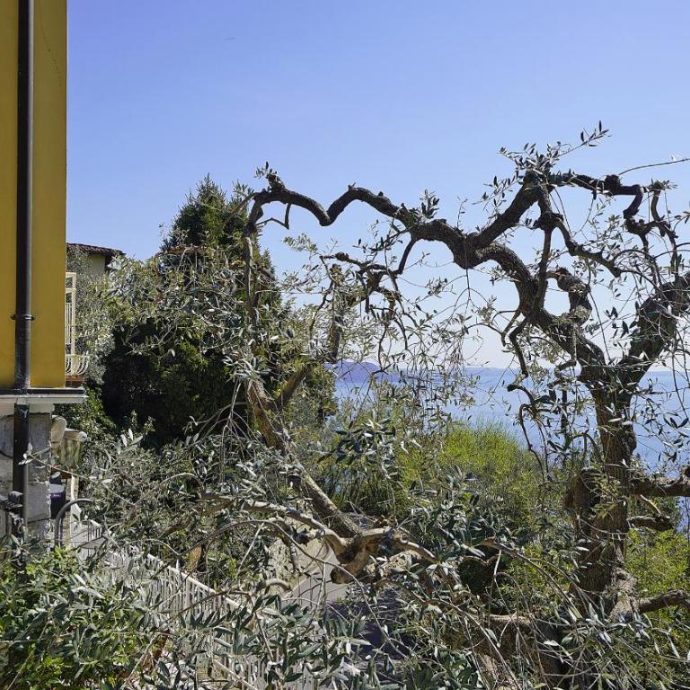 Villa Samanta - Villa - 59