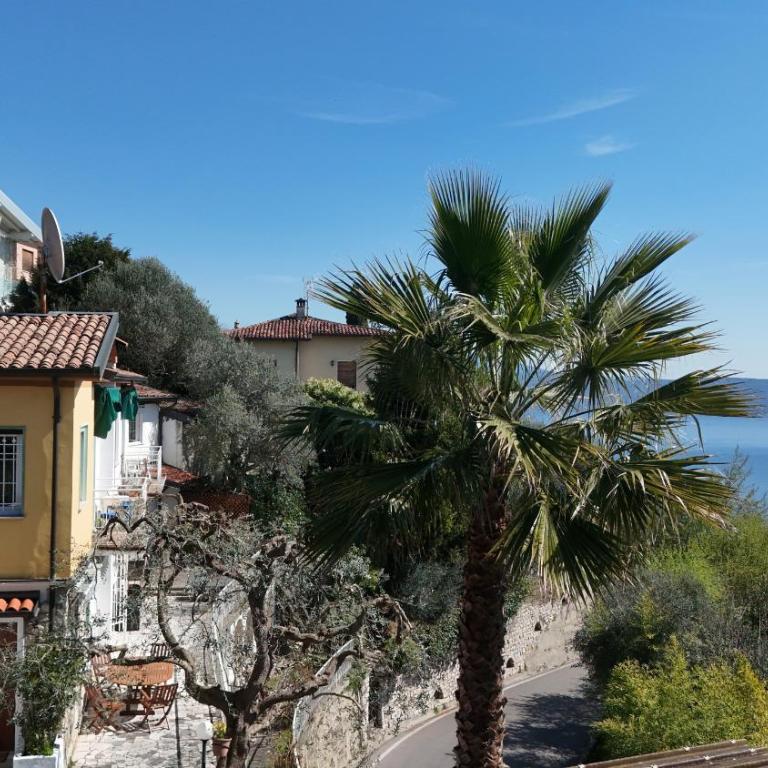 Villa Samanta - Villa - 70