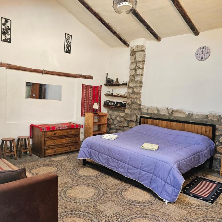Apu Ecolodge - Apartamento Clásico de 1 dormitorio con cama extragrande - 5