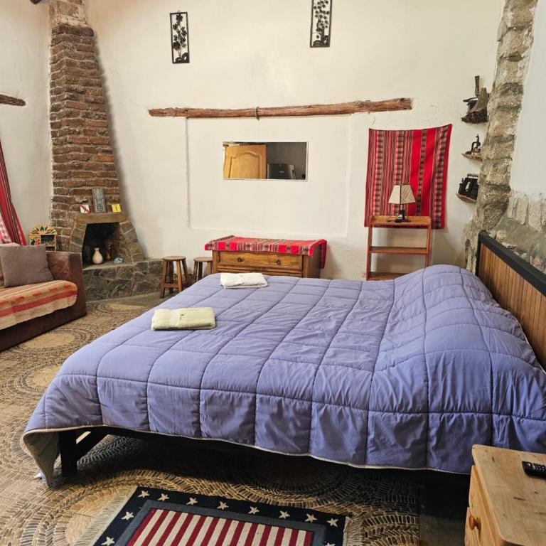 Apu Ecolodge - Apartamento Clásico de 1 dormitorio con cama extragrande - 7