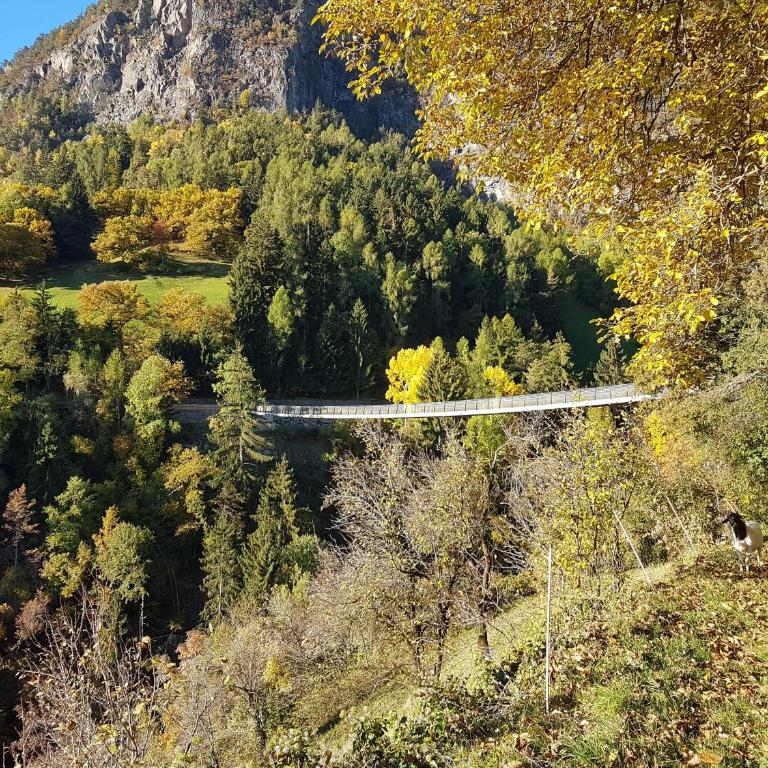 Weirerhof Lebm Gspiarn - Appartamento Superior con Vista Città - 29