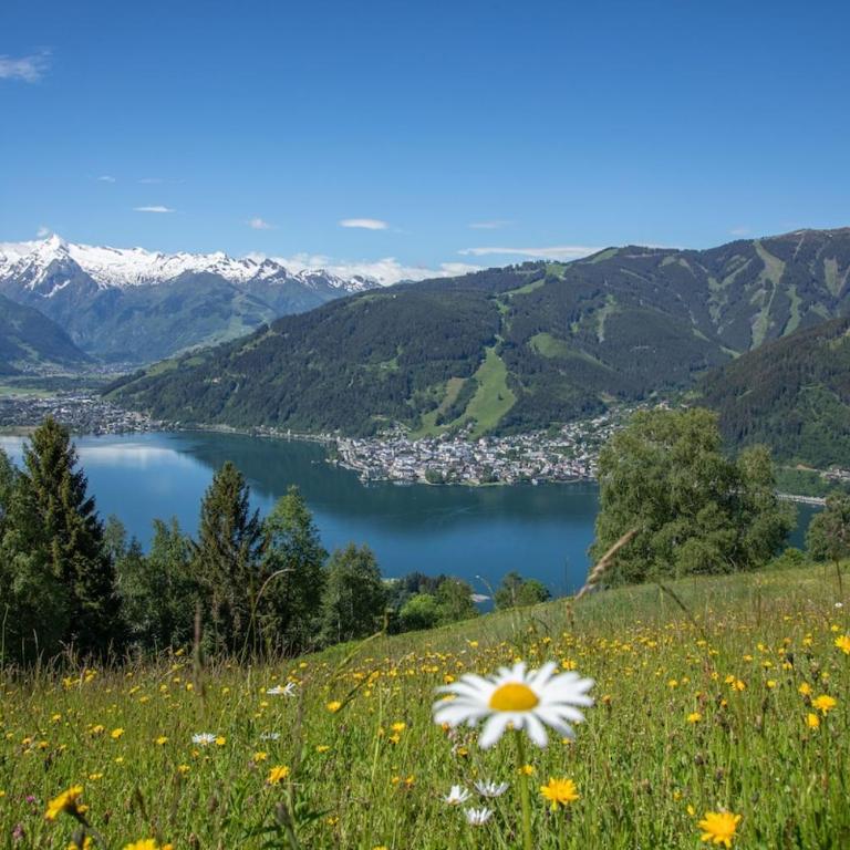 Alpinresort Kaprun top 10 by Alpinresort Kaprun - Apartment mit 2 Schlafzimmern - 32